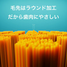 画像をギャラリービューアに読み込む, クラプロックス | CS12460ベルベット