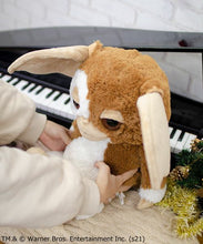 画像をギャラリービューアに読み込む, NICI(ニキ) | GREMLINS(グレムリン)/ぬいぐるみ ギズモ ブラウン 50cm