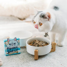 画像をギャラリービューアに読み込む, 猫のおやつ【OYSTER CATS】オイスターキャッツ