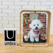 画像をギャラリービューアに読み込む, 【UVフォト】ベルウッド デスクフレーム 8x10 (20x25cm)