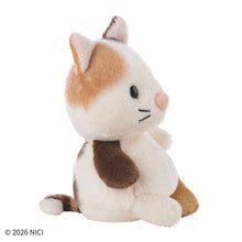 画像をギャラリービューアに読み込む, NICI(ニキ) | Lovelies 2026 キャット 11cm