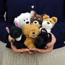 画像をギャラリービューアに読み込む, NICI (ニキ)| キーリング チャウチャウ 10㎝