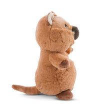 画像をギャラリービューアに読み込む, 【日本未発売サイズ】NICI(ニキ) | ぬいぐるみ ワイルドフレンズ クオッカワラビー モーラ 15cm