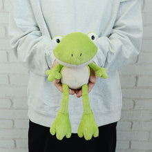 画像をギャラリービューアに読み込む, NICI (ニキ)| サマー16 フロッグ 2025 ぬいぐるみ 25㎝