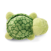 画像をギャラリービューアに読み込む, NICI (ニキ)| マグニキ サンセットドリーム2024 タートル タテウス 10cm