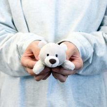 画像をギャラリービューアに読み込む, NICI (ニキ)| MN ベアフレンズ25 ベア フィニー 12cm