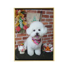 画像をギャラリービューアに読み込む, 【UVフォト】umbra(アンブラ) プリズマ フォトフレーム 102×152mm KG判