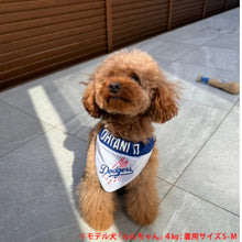 画像をギャラリービューアに読み込む, MLB公式 ドジャース 大谷翔平選手モデル リバーシブルバンダナ