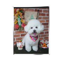 画像をギャラリービューアに読み込む, 【UVフォト】umbra(アンブラ) プリズマ フォトフレーム 102×152mm KG判