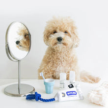 画像をギャラリービューアに読み込む, BITE ME(バイトミー) | 歯磨き粉デンタルロープトイ