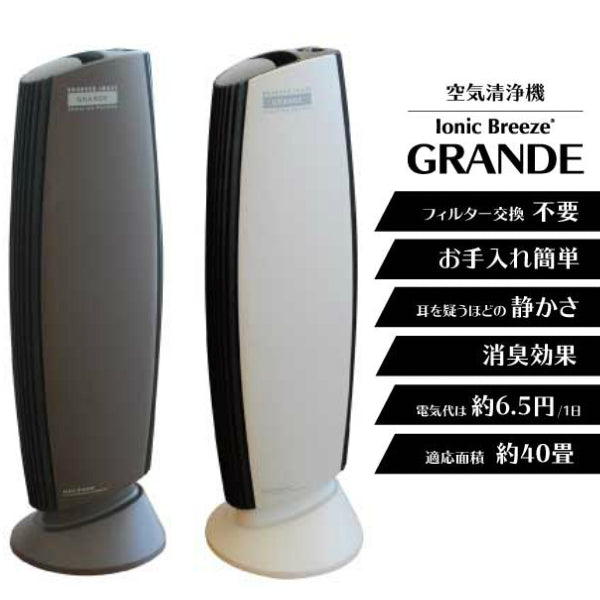 イオニックブリーズ GRANDE 安心の直営店【外箱不良】【訳あり品