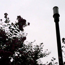 画像をギャラリービューアに読み込む, ESCURA レトロ-1 デジタルトイカメラ