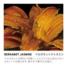 画像をギャラリービューアに読み込む, AirDiffuser カートリッジ