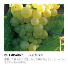 画像をギャラリービューアに読み込む, AirDiffuser カートリッジ