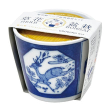 画像をギャラリービューアに読み込む, 染付小紋草花BONSAI