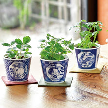 画像をギャラリービューアに読み込む, 染付小紋草花BONSAI