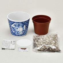 画像をギャラリービューアに読み込む, 染付小紋草花BONSAI