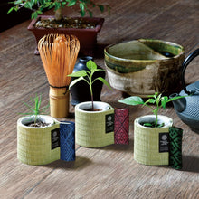 画像をギャラリービューアに読み込む, お芽でたおちょこ 畳 栽培キット