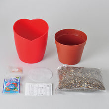 画像をギャラリービューアに読み込む, ハートマト栽培キット