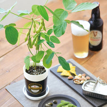 画像をギャラリービューアに読み込む, 育てる黒えだ豆栽培キット