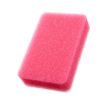 画像をギャラリービューアに読み込む, 亀の子スポンジ 2023夏季限定