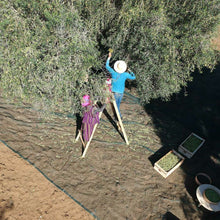 画像をギャラリービューアに読み込む, 【金賞受賞】NICHEN Typical エキストラバージンオリーブオイル250ml 無添加VITAFOOD