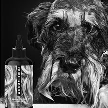 画像をギャラリービューアに読み込む, 【SALE】【大容量】PRIDE+GROOM(プライド+グルーム)/ノンシェダー ペットシャンプー 475ml