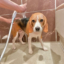 画像をギャラリービューアに読み込む, 【SALE】【大容量】PRIDE+GROOM(プライド+グルーム)/シェダー ペットシャンプー 475ml