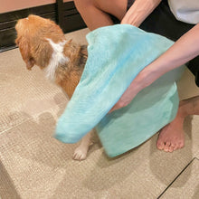 画像をギャラリービューアに読み込む, 【SALE】【大容量】PRIDE+GROOM(プライド+グルーム)/シェダー ペットシャンプー 475ml