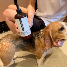 画像をギャラリービューアに読み込む, 【SALE】【大容量】PRIDE+GROOM(プライド+グルーム)/シェダー ペットシャンプー 475ml