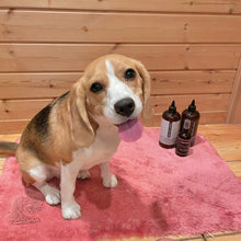 画像をギャラリービューアに読み込む, 【SALE】【大容量】PRIDE+GROOM(プライド+グルーム)/シェダー ペットシャンプー 475ml