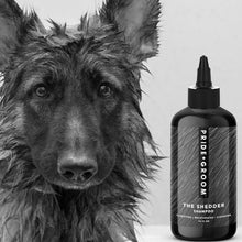 画像をギャラリービューアに読み込む, 【SALE】【大容量】PRIDE+GROOM(プライド+グルーム)/シェダー ペットシャンプー 475ml