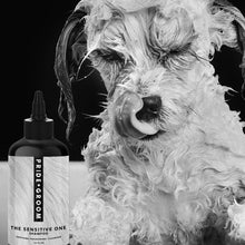 画像をギャラリービューアに読み込む, 【SALE】【大容量】PRIDE+GROOM(プライド+グルーム)/センシティブ ペットシャンプー 475ml