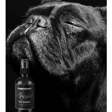 画像をギャラリービューアに読み込む, PRIDE+GROOM(プライド+グルーム)/ペットセント スプレー 120ml