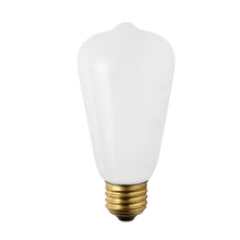 画像をギャラリービューアに読み込む, VINTAGE LED BULB E26