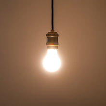 画像をギャラリービューアに読み込む, VINTAGE NORMAL LED BULB E26