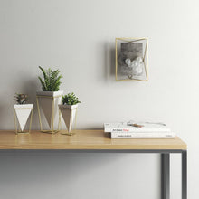 画像をギャラリービューアに読み込む, umbra(アンブラ) | プリズマ フォトフレーム4X6