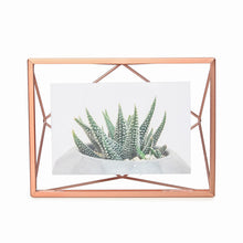 画像をギャラリービューアに読み込む, umbra(アンブラ) | プリズマ フォトフレーム4X6