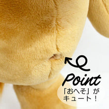 画像をギャラリービューアに読み込む, NICI (ニキ) | ぬいぐるみ/ワイルドフレンズ22 ライオン 25cm