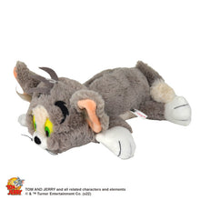 画像をギャラリービューアに読み込む, NICI フィギュアペンポーチ/トムとジェリー