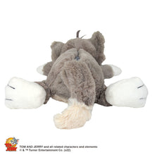 画像をギャラリービューアに読み込む, NICI フィギュアペンポーチ/トムとジェリー