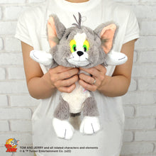 画像をギャラリービューアに読み込む, NICI フィギュアペンポーチ/トムとジェリー