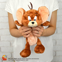 画像をギャラリービューアに読み込む, NICI フィギュアペンポーチ/トムとジェリー