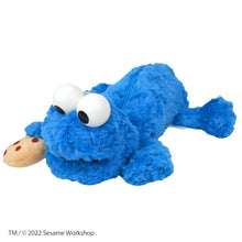 画像をギャラリービューアに読み込む, 【NICI】SESAME STREET(セサミストリート)/フィギュアペンポーチ