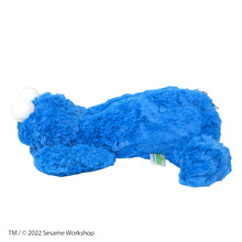 画像をギャラリービューアに読み込む, 【NICI】SESAME STREET(セサミストリート)/フィギュアペンポーチ