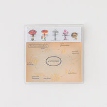 画像をギャラリービューアに読み込む, ST-181クリアカバー付箋