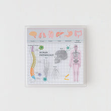 画像をギャラリービューアに読み込む, ST-181クリアカバー付箋