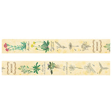 画像をギャラリービューアに読み込む, ST-195マスキングテープ