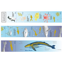 画像をギャラリービューアに読み込む, ST-204金箔マスキングテープ