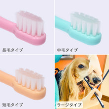 画像をギャラリービューアに読み込む, OraBio |オーラバイオブラシ